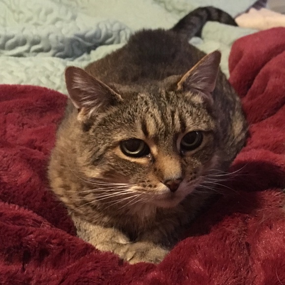 💜▪️💜TAKE A LOOK!▪️💜▪️ - Picture 3 of 5